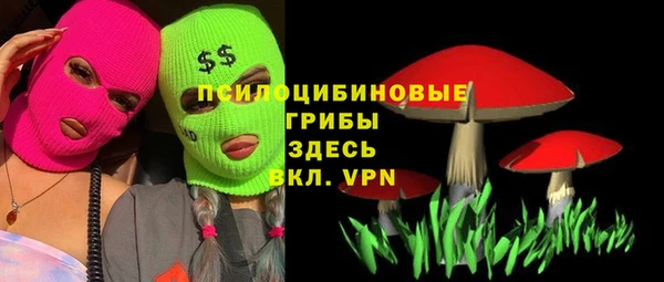 ГАЛЛЮЦИНОГЕННЫЕ ГРИБЫ Навашино