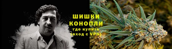 ГАЛЛЮЦИНОГЕННЫЕ ГРИБЫ Нефтегорск