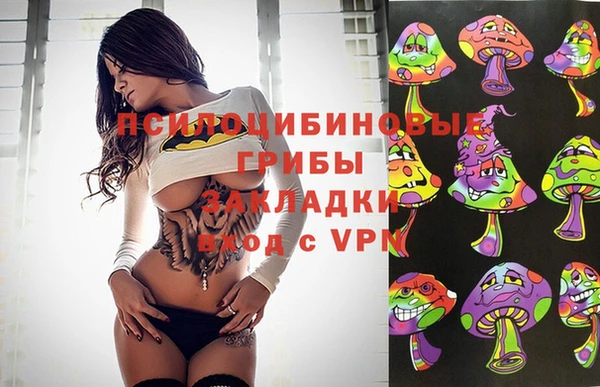 прущие крисы Нефтекумск