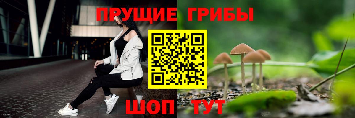 Псилоцибиновые грибы мухоморы  Вход с VPN  Казань 