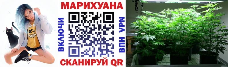 Бошки Шишки SATIVA & INDICA Казань